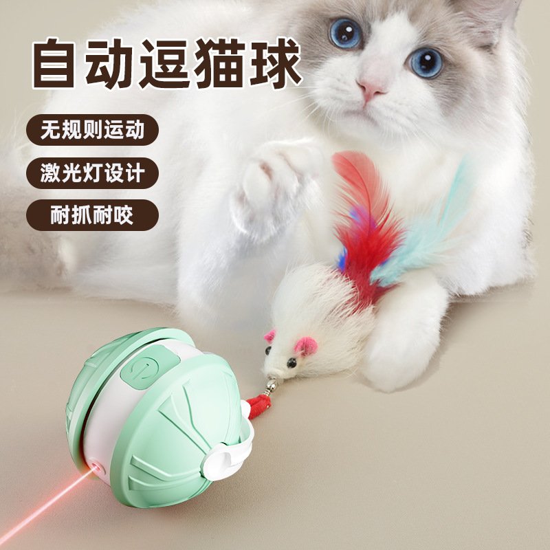 qq
